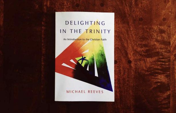 'Delighting in the Trinity' Observation and Reflection